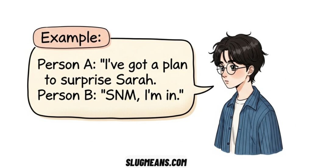 SNM Meaning in Text and Social Media