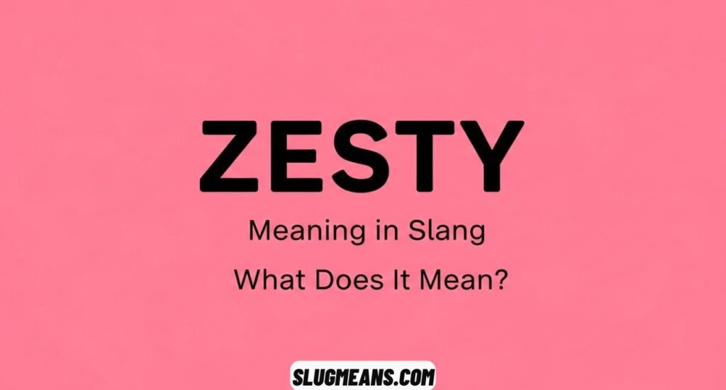 Zesty Meaning Slang